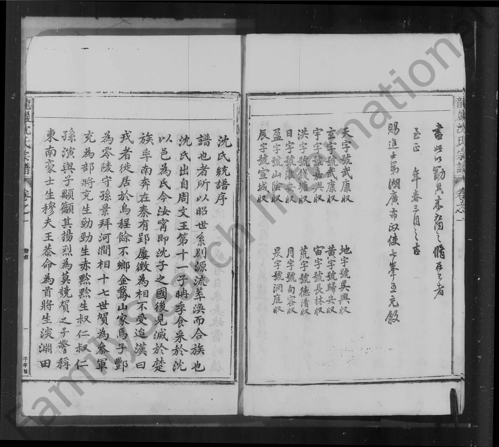 图片[2]-安徽池州石台县龙岩沈氏宗谱电子版PDF下载-中华家谱网