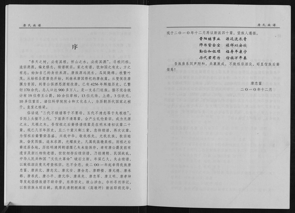 图片[4]-四川达州宣汉重庆开州区唐氏族谱电子版PDF下载-中华家谱网