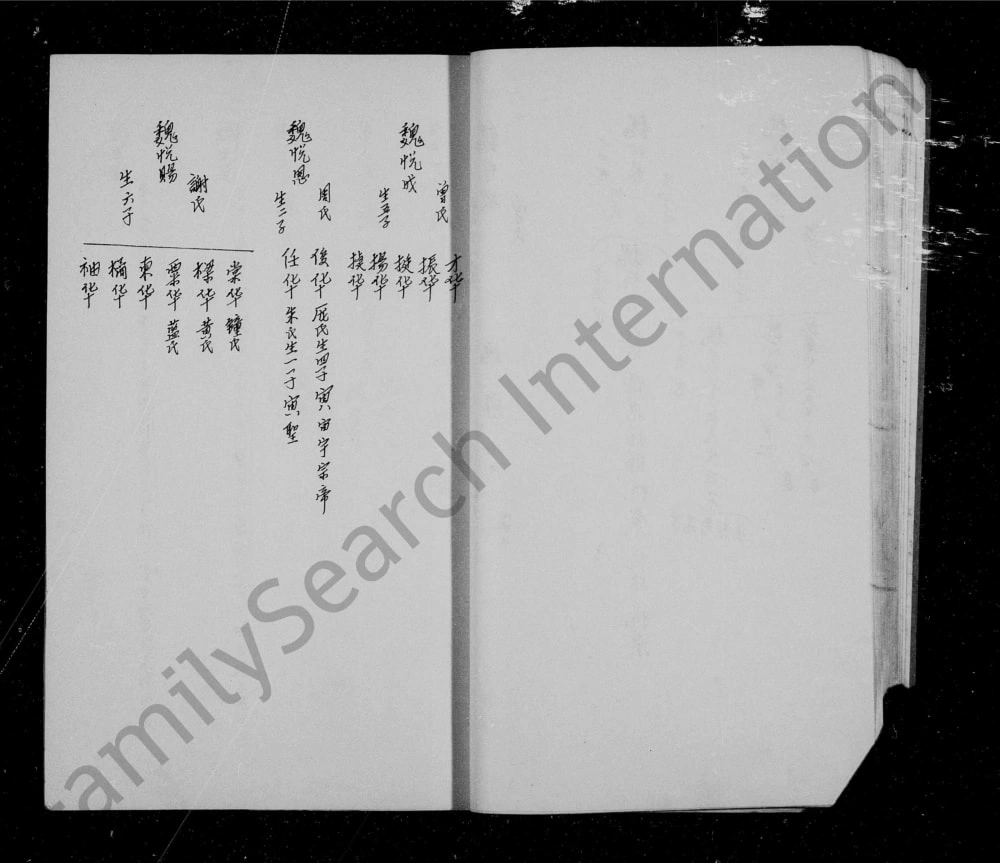 图片[4]-四川资阳魏氏族谱电子版PDF下载-中华家谱网