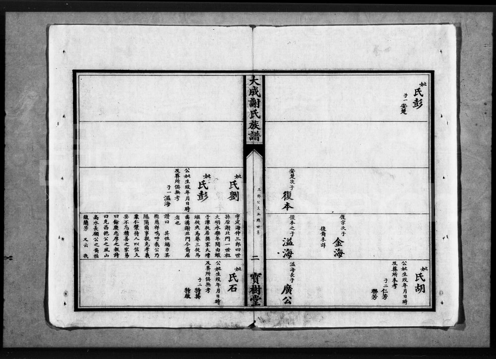 图片[8]-湖北应城大成谢氏族谱（宝树堂）电子版PDF下载-中华家谱网