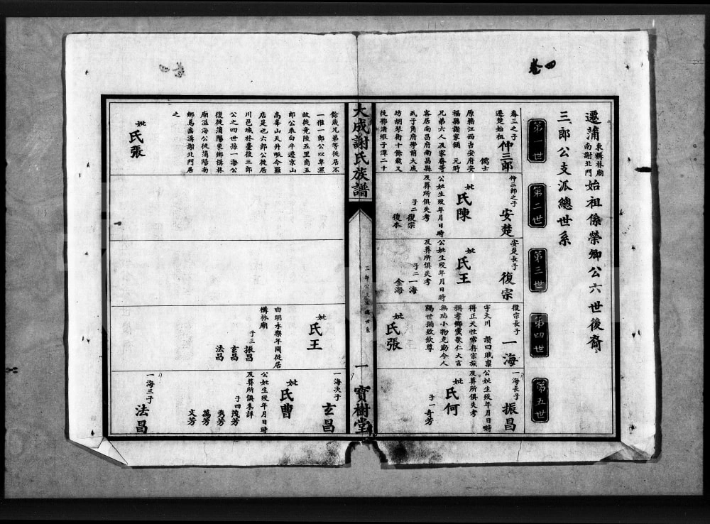 图片[7]-湖北应城大成谢氏族谱（宝树堂）电子版PDF下载-中华家谱网