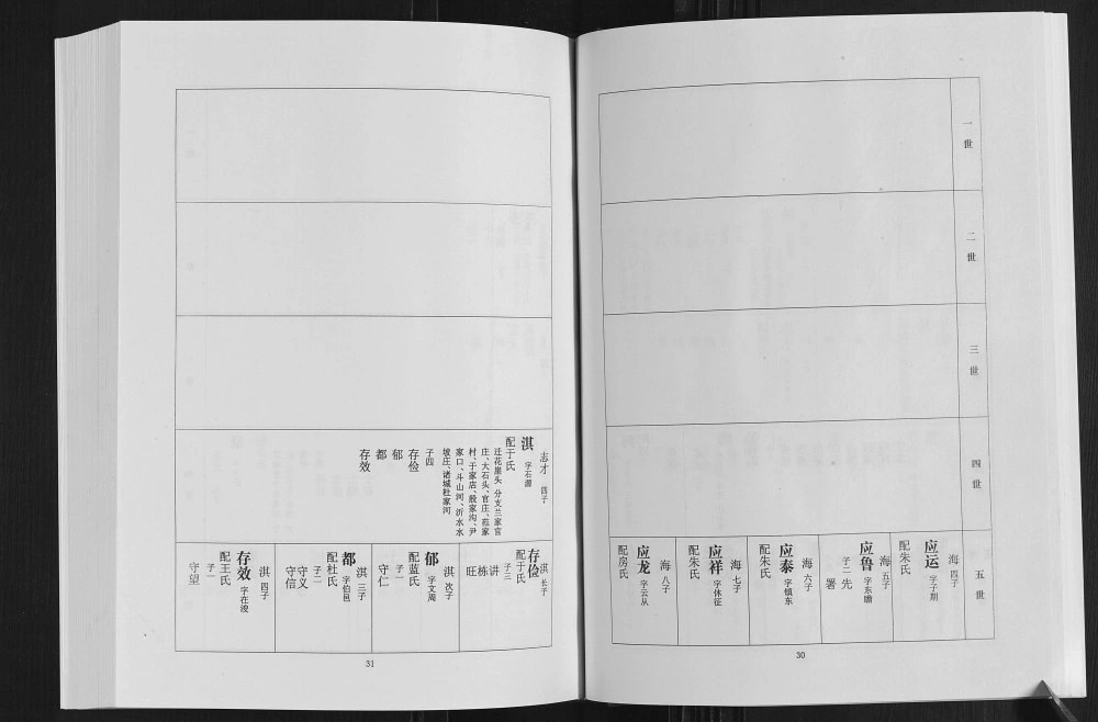 图片[7]-山东日照莒县大张宋刘氏家谱电子版PDF下载-中华家谱网