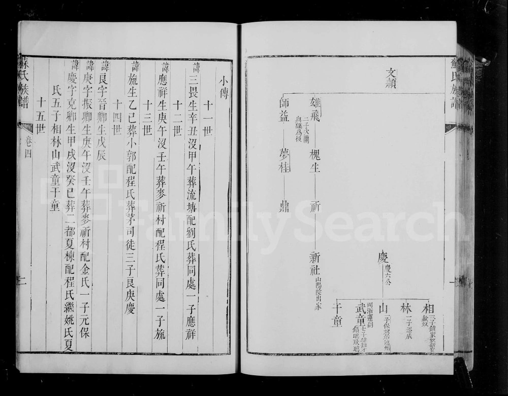 图片[8]-安徽黄山休宁县新安苏氏重修族谱（忠孝堂）电子版PDF下载-中华家谱网
