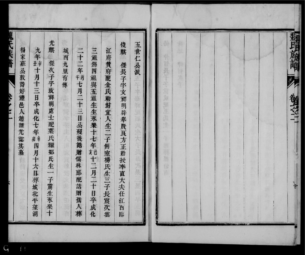 图片[8]-江苏兴化魏氏族谱电子版PDF下载-中华家谱网