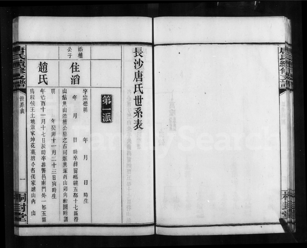 图片[5]-湖南长沙唐氏续修支谱（桐封堂）电子版PDF下载-中华家谱网