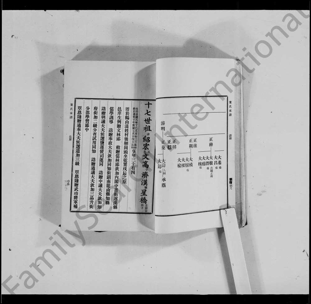 图片[3]-广东佛山南海叶氏家族谱电子版PDF下载-中华家谱网