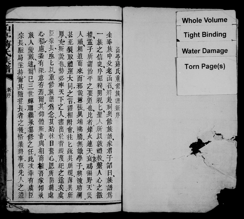 图片[2]-江西丰城𠙶亭蔣氏族譜电子版PDF下载-中华家谱网