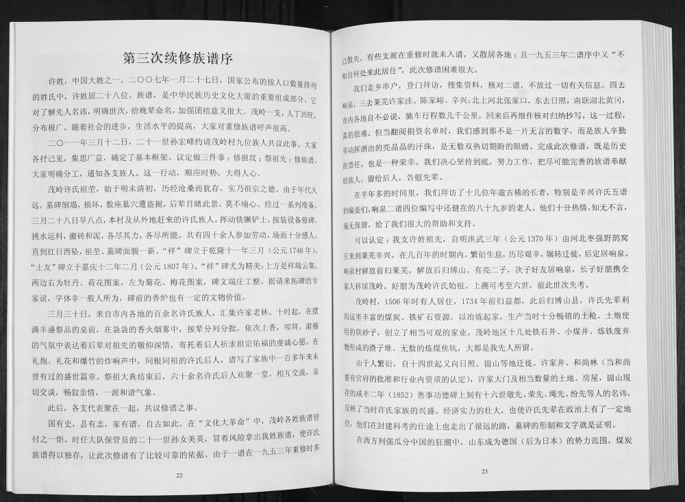 图片[4]-山东淄博许氏族谱博山茂岭支谱电子版PDF下载-中华家谱网