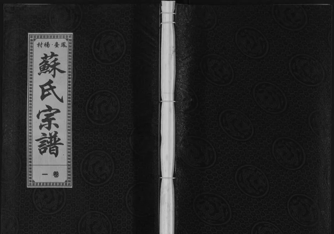 安徽淮南凤台杨村苏氏宗谱（敦厚堂）电子版PDF下载-中华家谱网