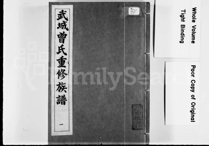 广东惠州紫金县武城曾氏重修族谱-中华家谱网