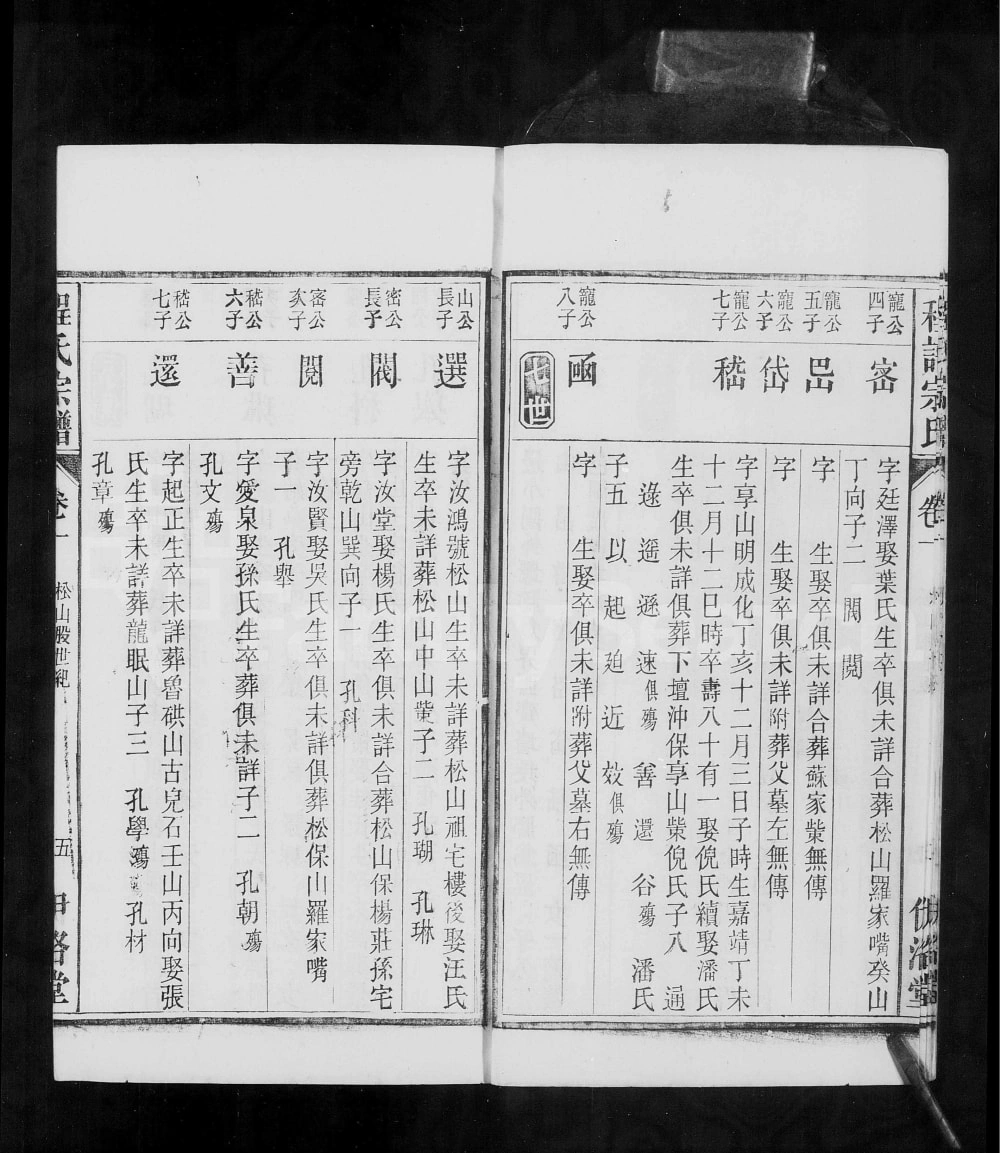 图片[8]-安徽桐城皖桐程氏宗谱（伊洛堂）电子版PDF下载-中华家谱网