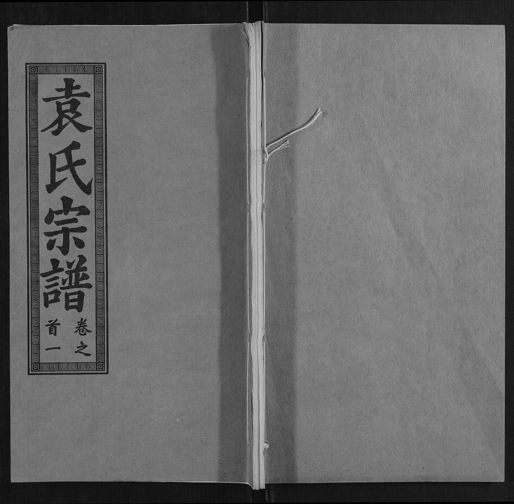 图片[1]-湖北武汉江夏区袁氏宗谱（卧雪堂）电子版PDF下载-中华家谱网