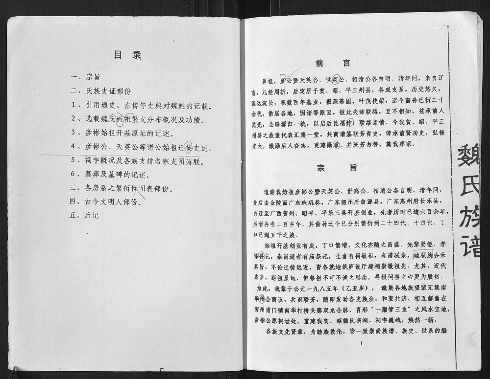 图片[3]-广西贺州魏氏族谱电子版PDF下载-中华家谱网