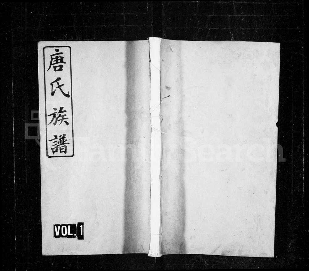 图片[1]-湖南浏阳浏南青山唐氏族谱（道德堂）电子版PDF下载-中华家谱网