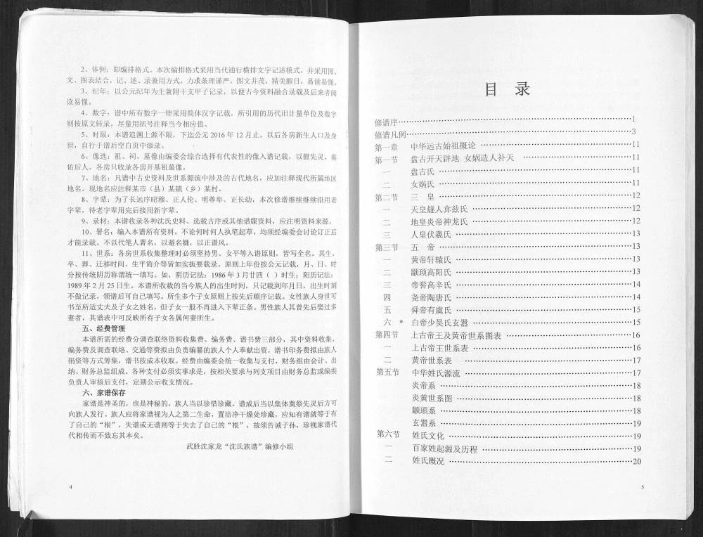 图片[3]-四川广安武胜县沈家龙沈氏族谱（善德堂）电子版PDF下载-中华家谱网