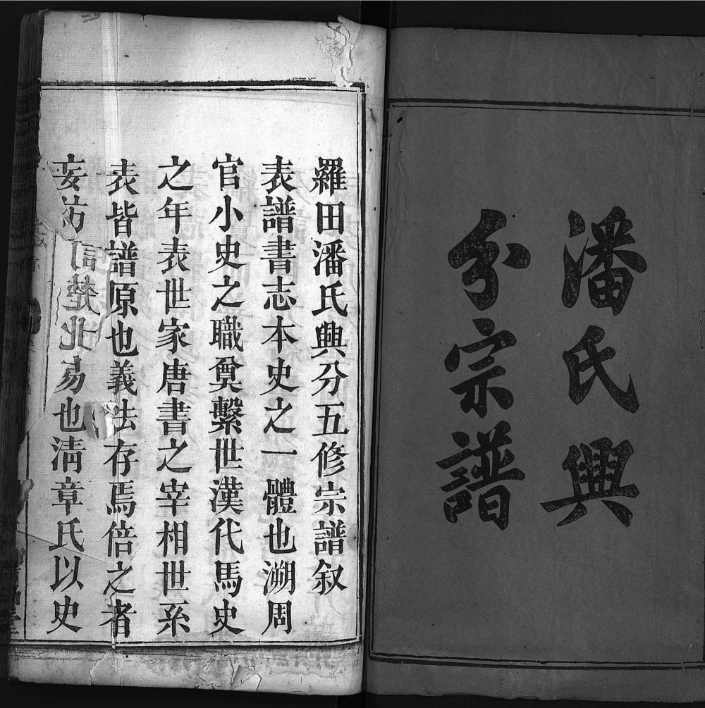 图片[2]-湖北黄冈罗田潘氏兴分五修宗谱（清和堂）电子版PDF下载-中华家谱网