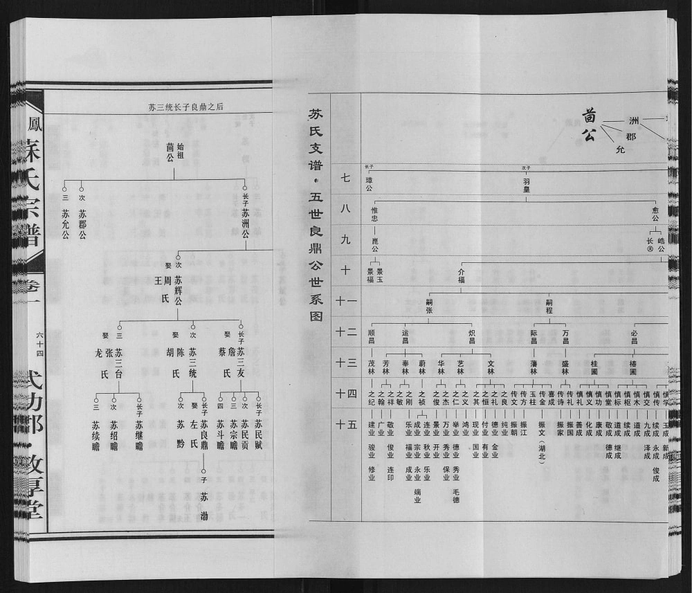 图片[8]-安徽淮南凤台杨村苏氏宗谱（敦厚堂）电子版PDF下载-中华家谱网