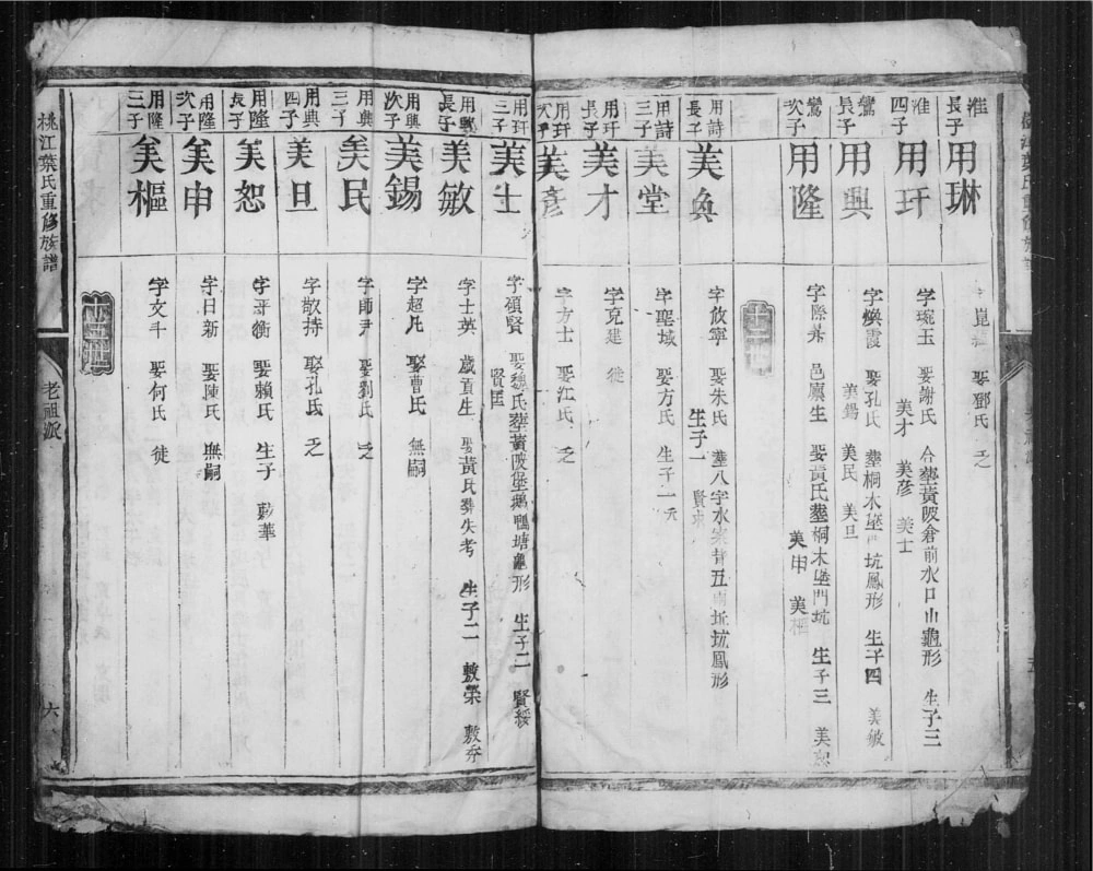 图片[8]-江西赣州信丰县桃江叶氏重修族谱电子版PDF下载-中华家谱网