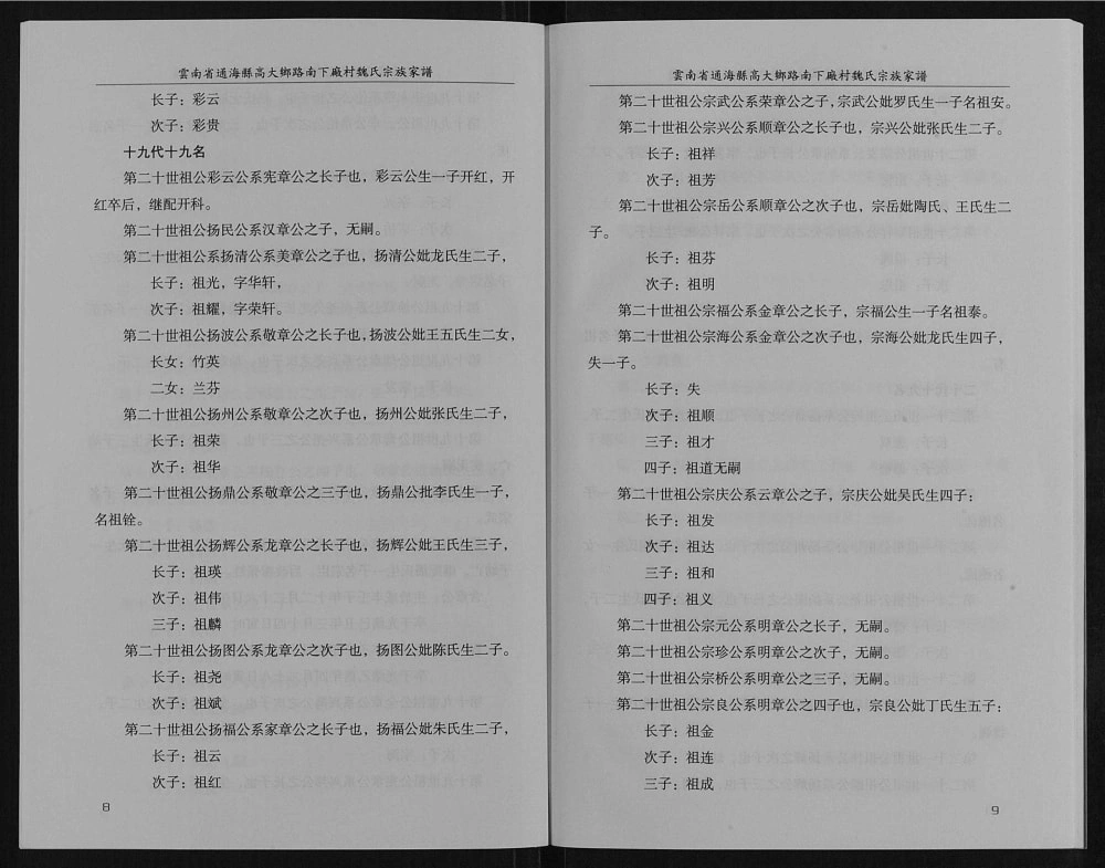 图片[7]-云南玉溪通海县高大乡路南下厂村魏氏宗族家谱电子版PDF下载-中华家谱网