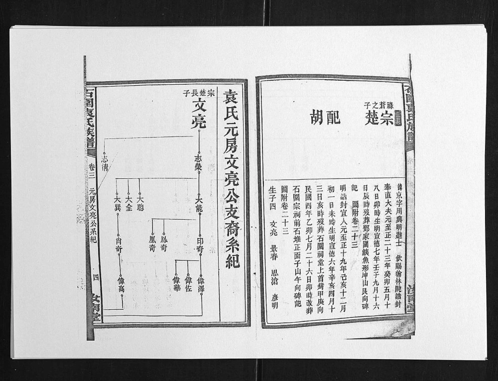 图片[7]-湖南浏阳石园袁氏族谱（汝南堂）电子版PDF下载-中华家谱网