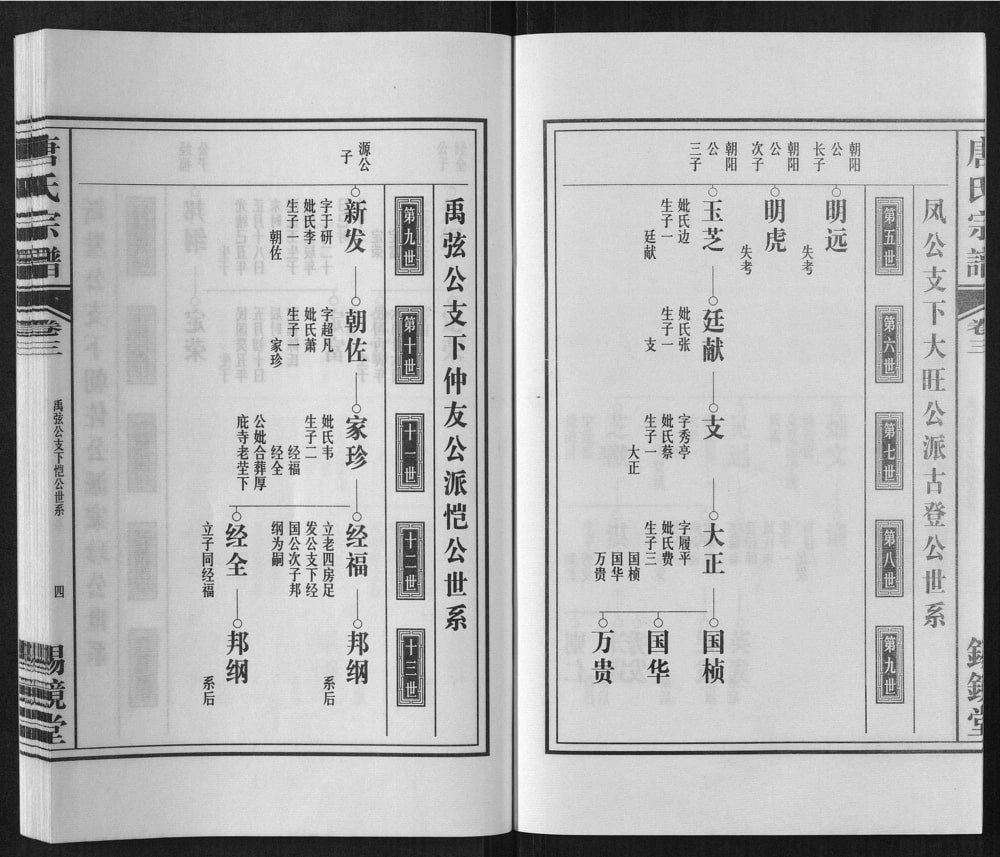 图片[6]-安徽合肥唐氏宗谱（锡镜堂）电子版PDF下载-中华家谱网