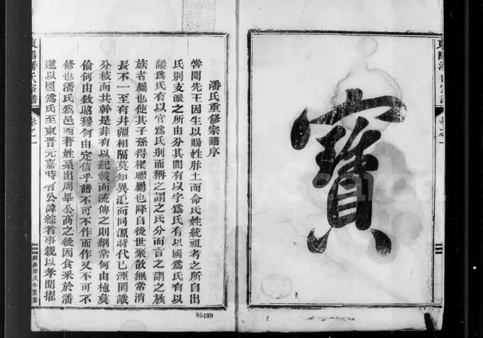 浙江东阳潘氏宗谱电子版PDF下载-中华家谱网