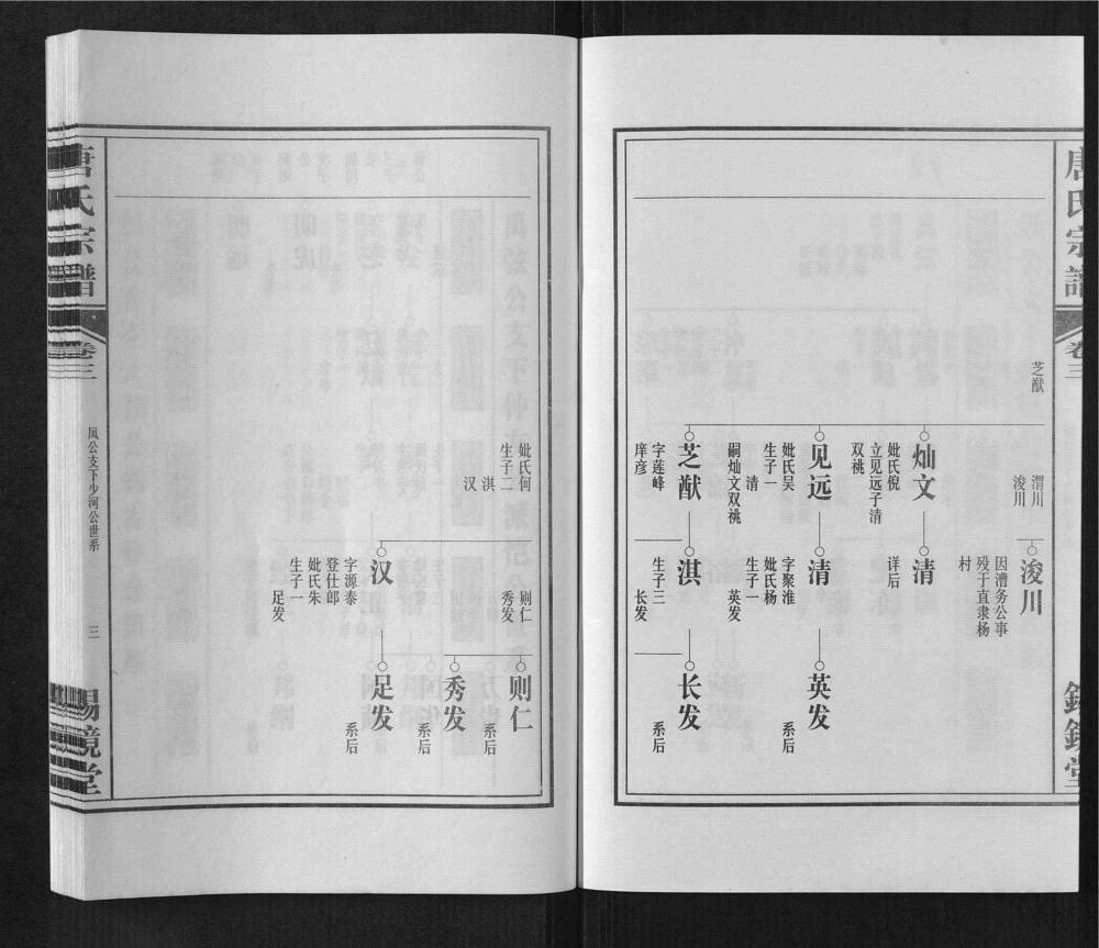 图片[5]-安徽合肥唐氏宗谱（锡镜堂）电子版PDF下载-中华家谱网