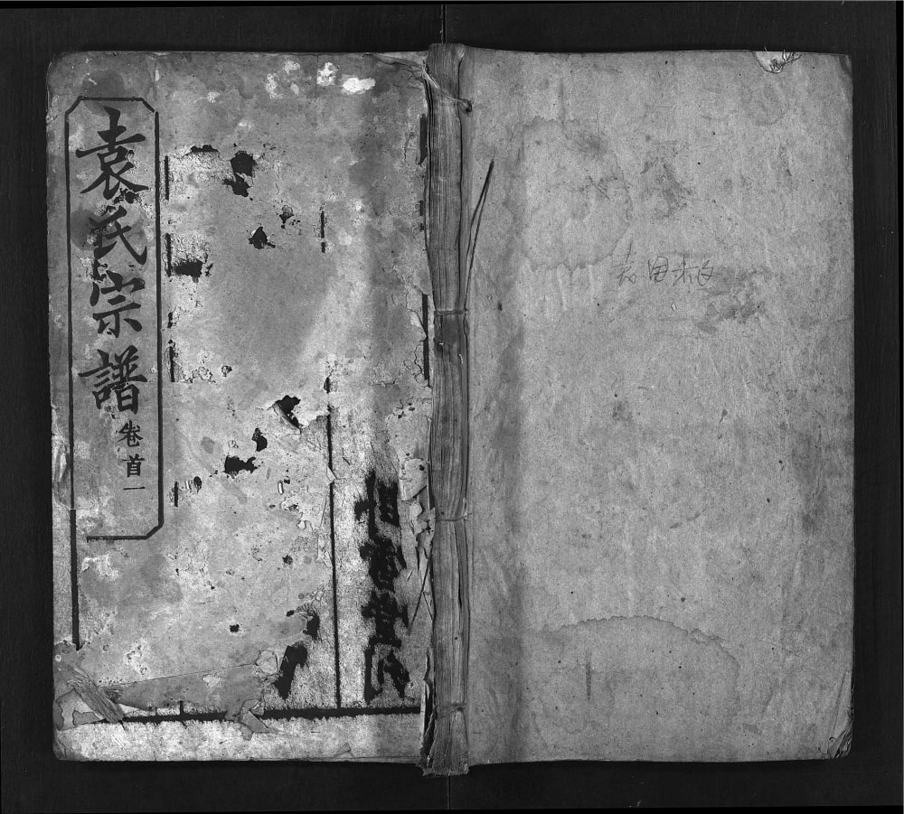 图片[1]-湖北武汉新洲袁氏宗谱（卧雪堂）电子版PDF下载-中华家谱网