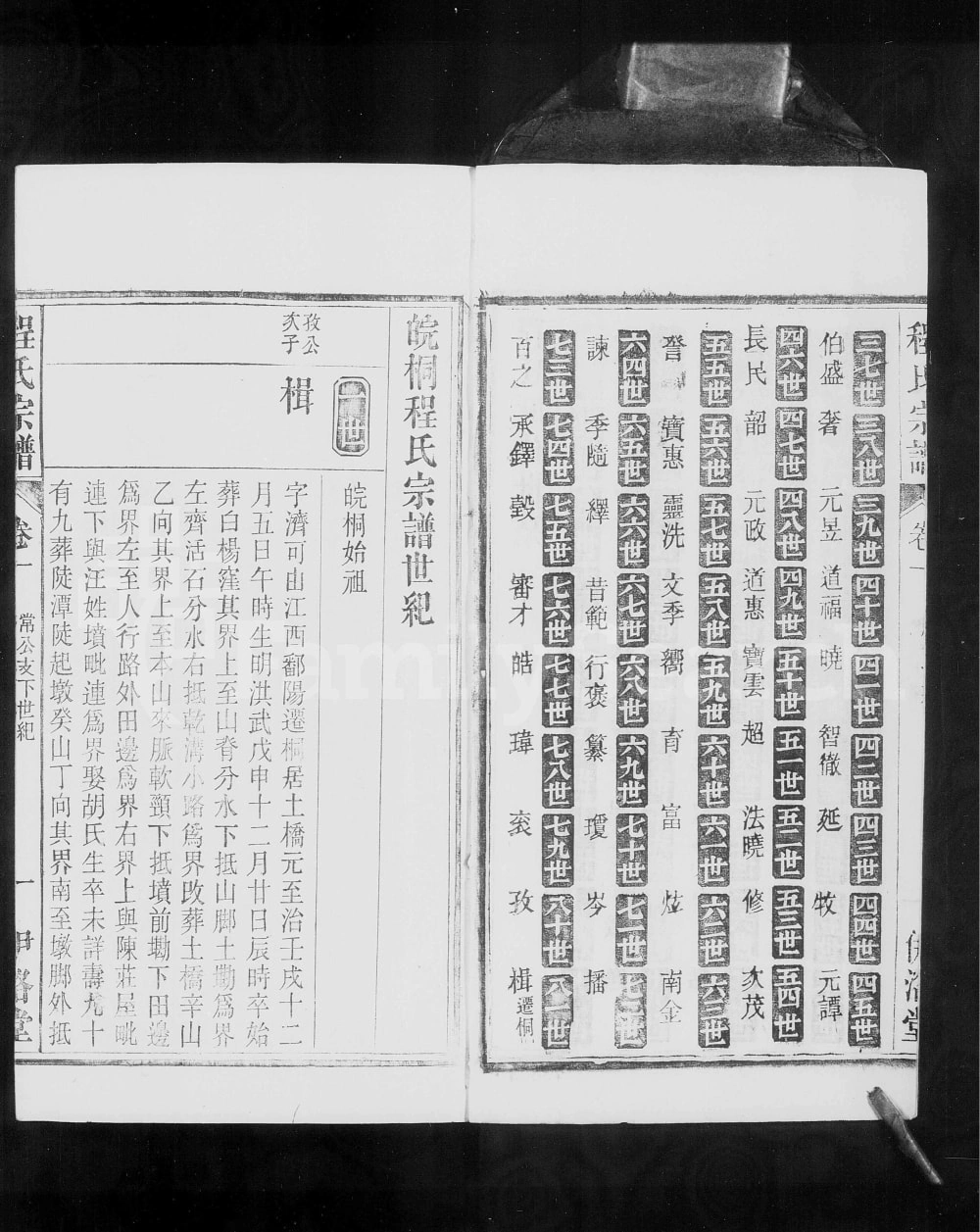 图片[4]-安徽桐城皖桐程氏宗谱（伊洛堂）电子版PDF下载-中华家谱网