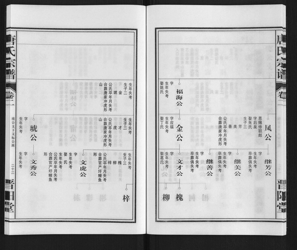 图片[5]-安徽铜陵五松唐氏宗谱（晋阳堂）电子版PDF下载-中华家谱网