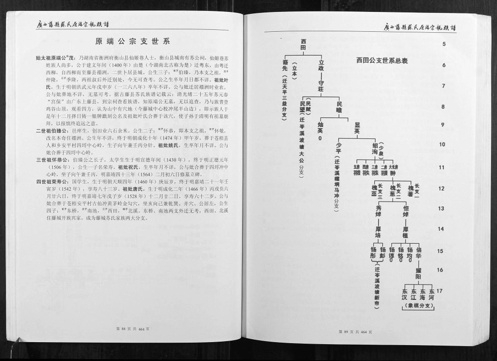 图片[6]-广西梧州藤县苏氏原端宗亲族谱电子版PDF下载-中华家谱网