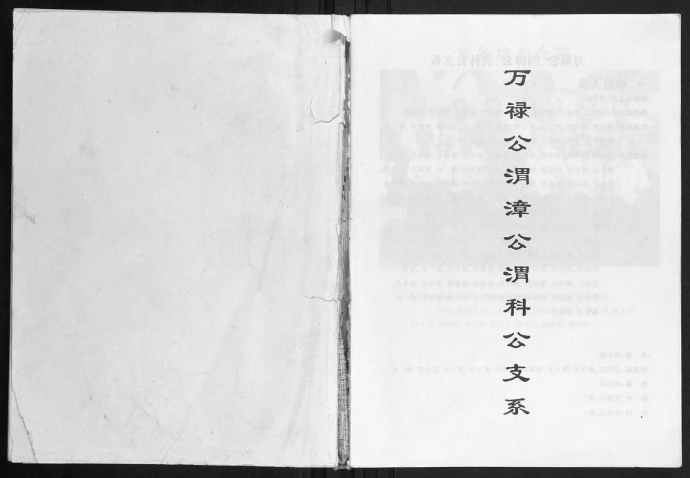 图片[1]-广西玉林容县潘氏万禄公渭漳公渭科公支系电子版PDF下载-中华家谱网