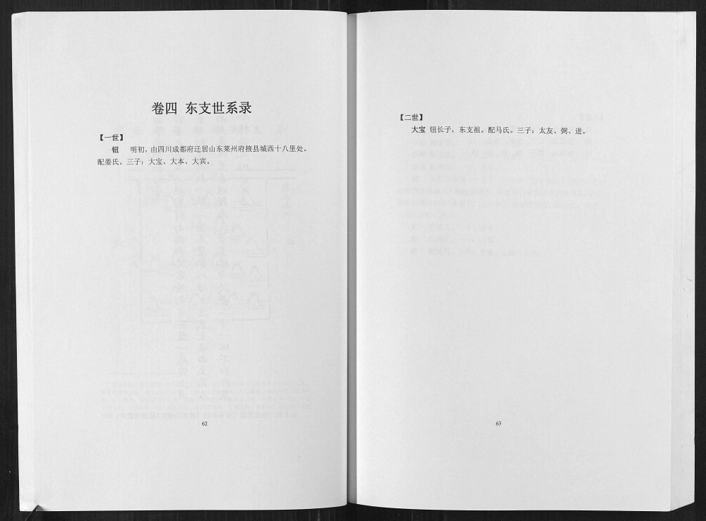 图片[5]-山东莱州东莱掖西程氏族谱电子版PDF下载-中华家谱网