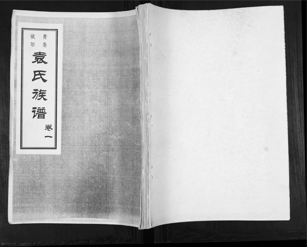 图片[1]-山东青岛城阳袁氏族谱电子版PDF下载-中华家谱网