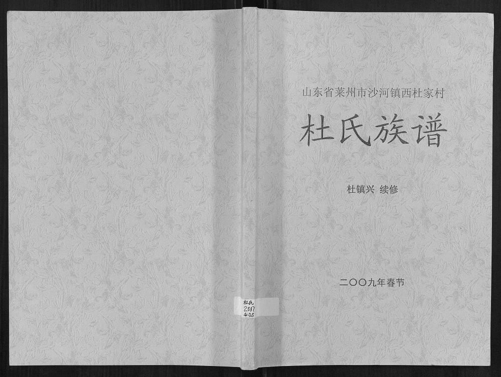 图片[1]-山东莱州沙河镇西杜家村杜氏族谱电子版PDF下载-中华家谱网