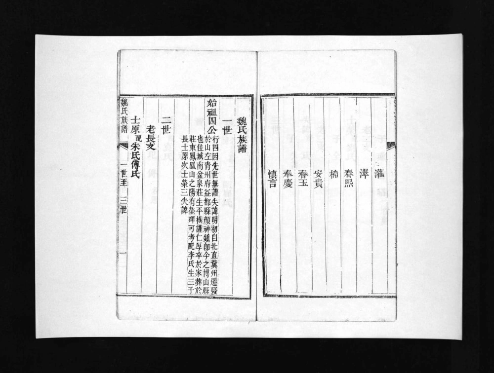 图片[4]-山东淄博博山区盆泉魏氏族谱电子版PDF下载-中华家谱网