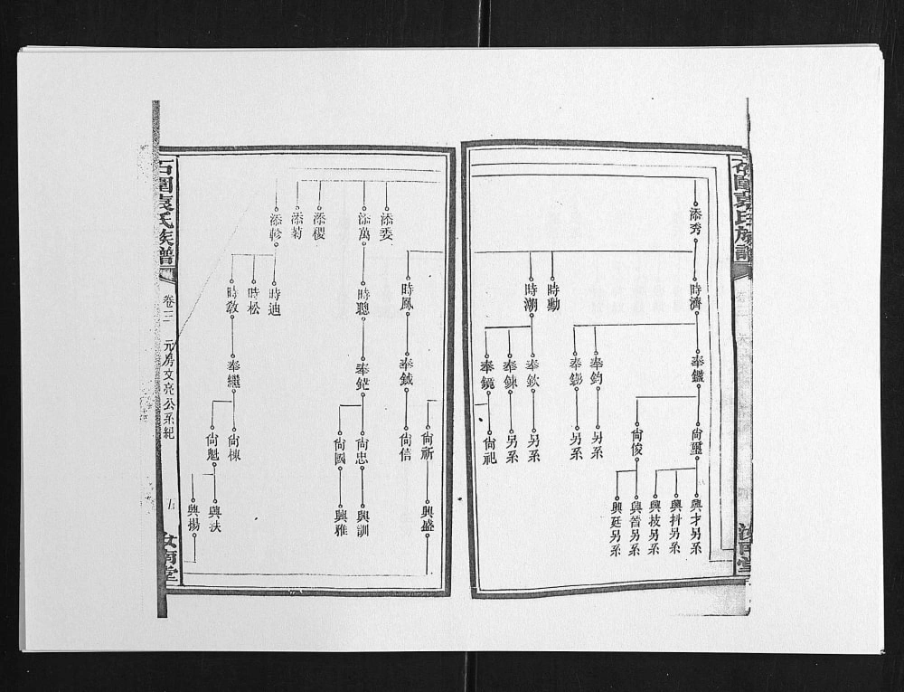 图片[8]-湖南浏阳石园袁氏族谱（汝南堂）电子版PDF下载-中华家谱网