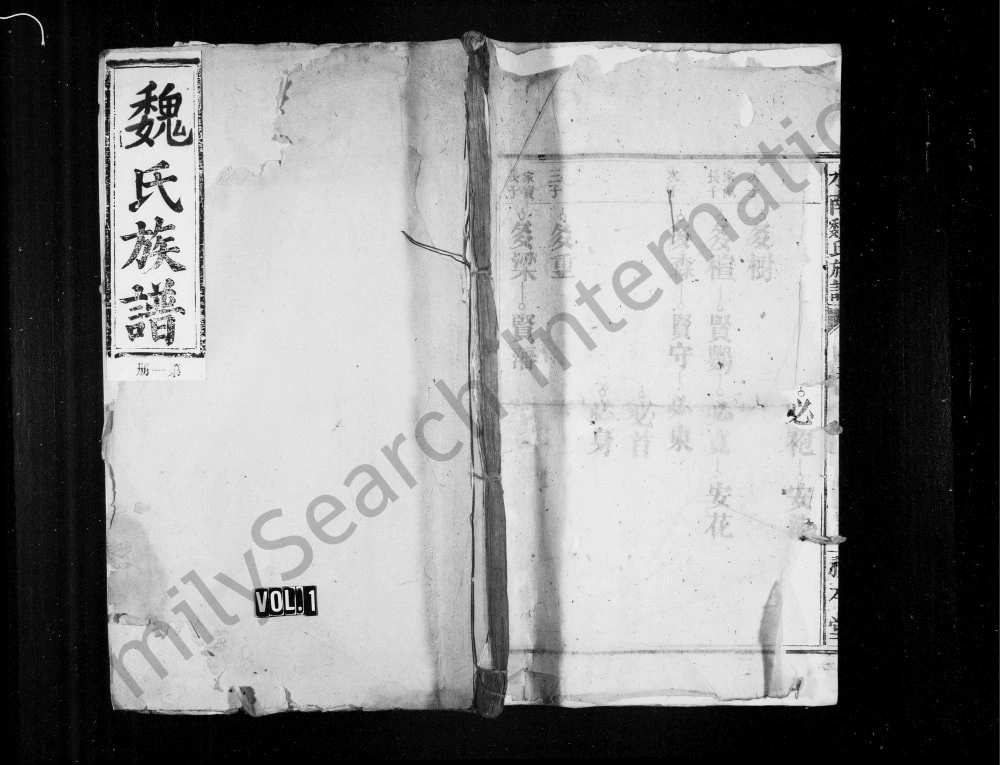 图片[1]-江西南昌水南魏氏族谱（务本堂）电子版PDF下载-中华家谱网