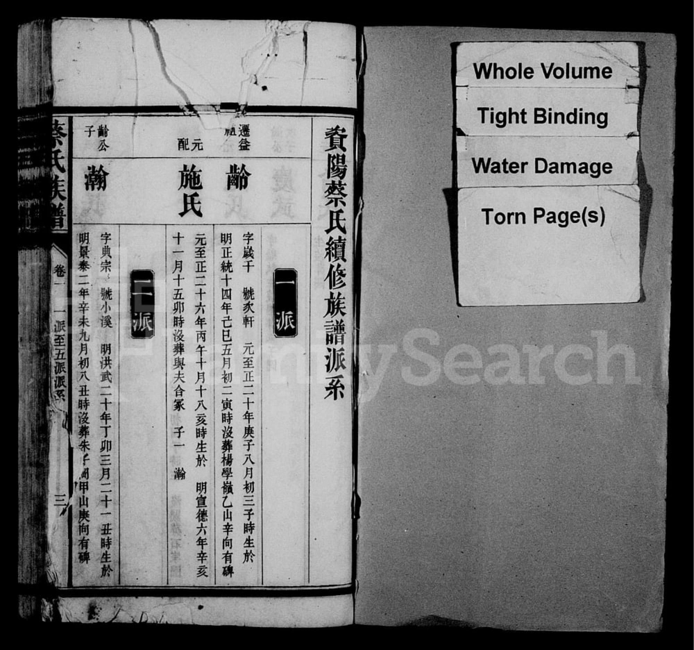 图片[5]-湖南益阳蔡氏族谱电子版PDF下载-中华家谱网