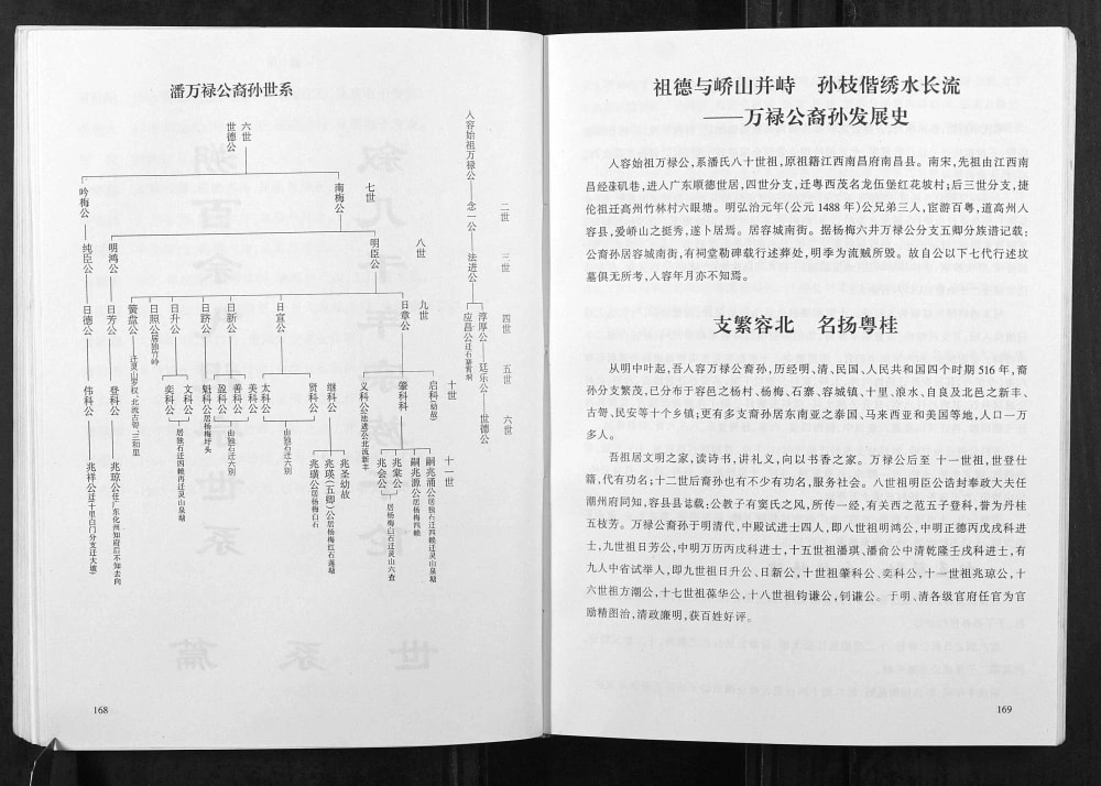 图片[7]-广西玉林容县潘氏万禄公渭漳公渭科公支系电子版PDF下载-中华家谱网