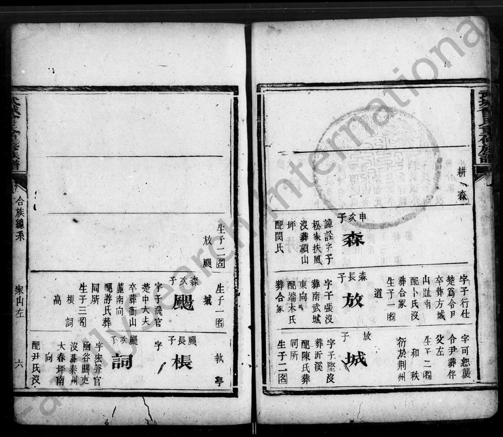 图片[8]-广东梅州蕉岭县武城曾氏重修族谱电子版PDF下载-中华家谱网