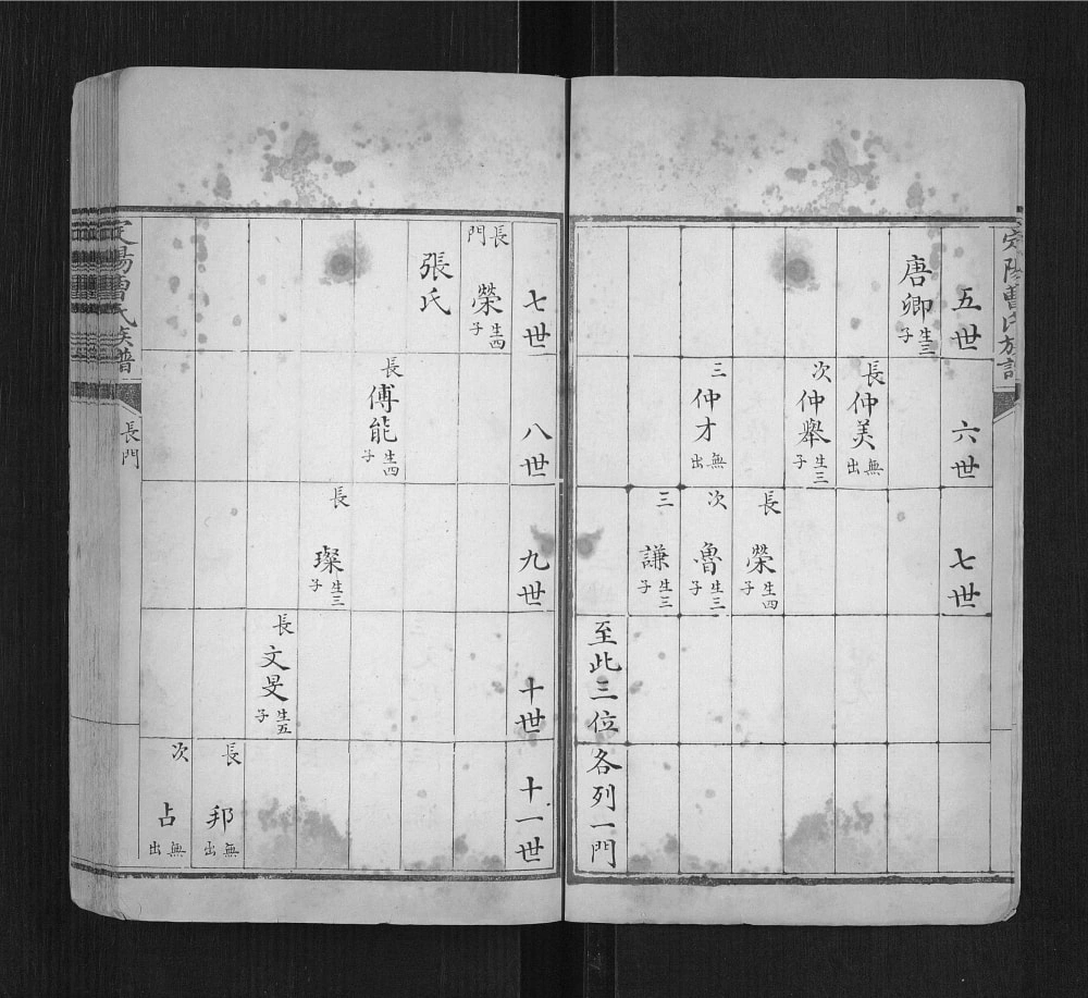 图片[5]-山西介休定阳曹氏族谱电子版PDF下载-中华家谱网