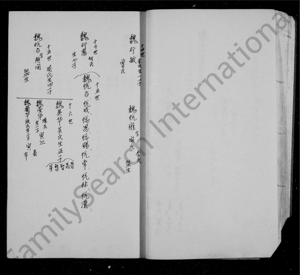 图片[3]-四川资阳魏氏族谱电子版PDF下载-中华家谱网