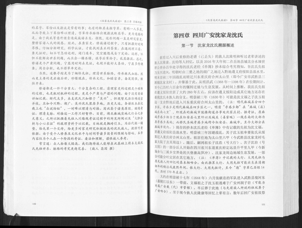 图片[6]-四川广安武胜县沈家龙沈氏族谱（善德堂）电子版PDF下载-中华家谱网