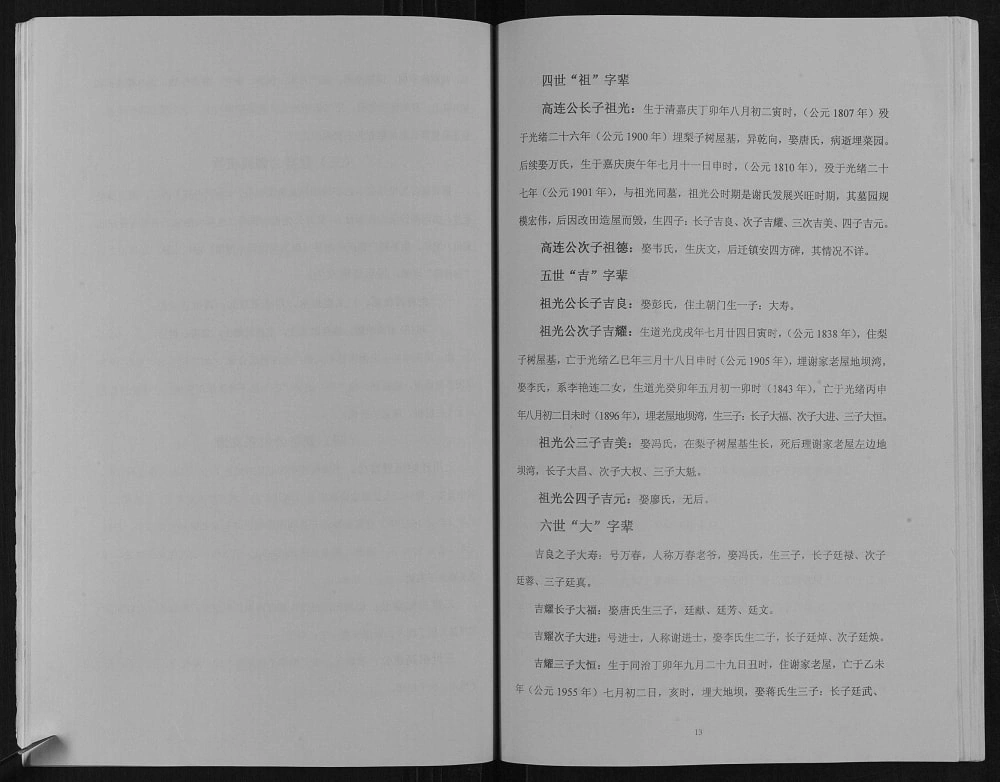 图片[6]-重庆开州区开县天白玉皇谢氏支谱电子版PDF下载-中华家谱网