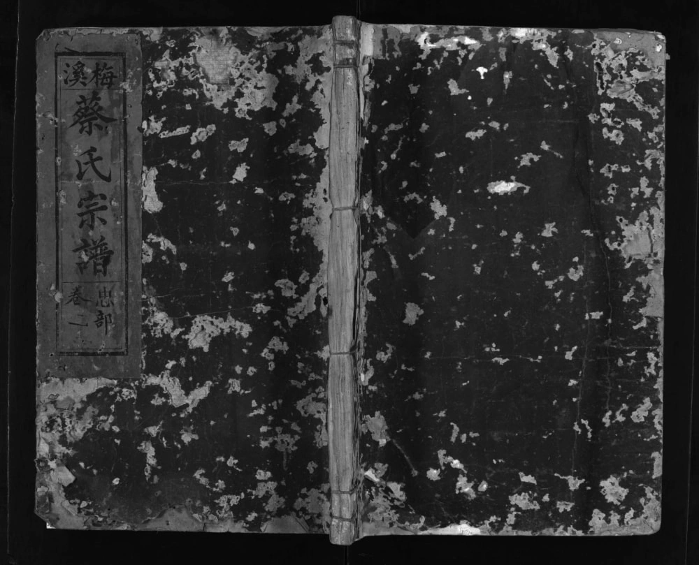 图片[1]-江西广丰梅溪蔡氏宗谱（长春堂）电子版PDF下载-中华家谱网