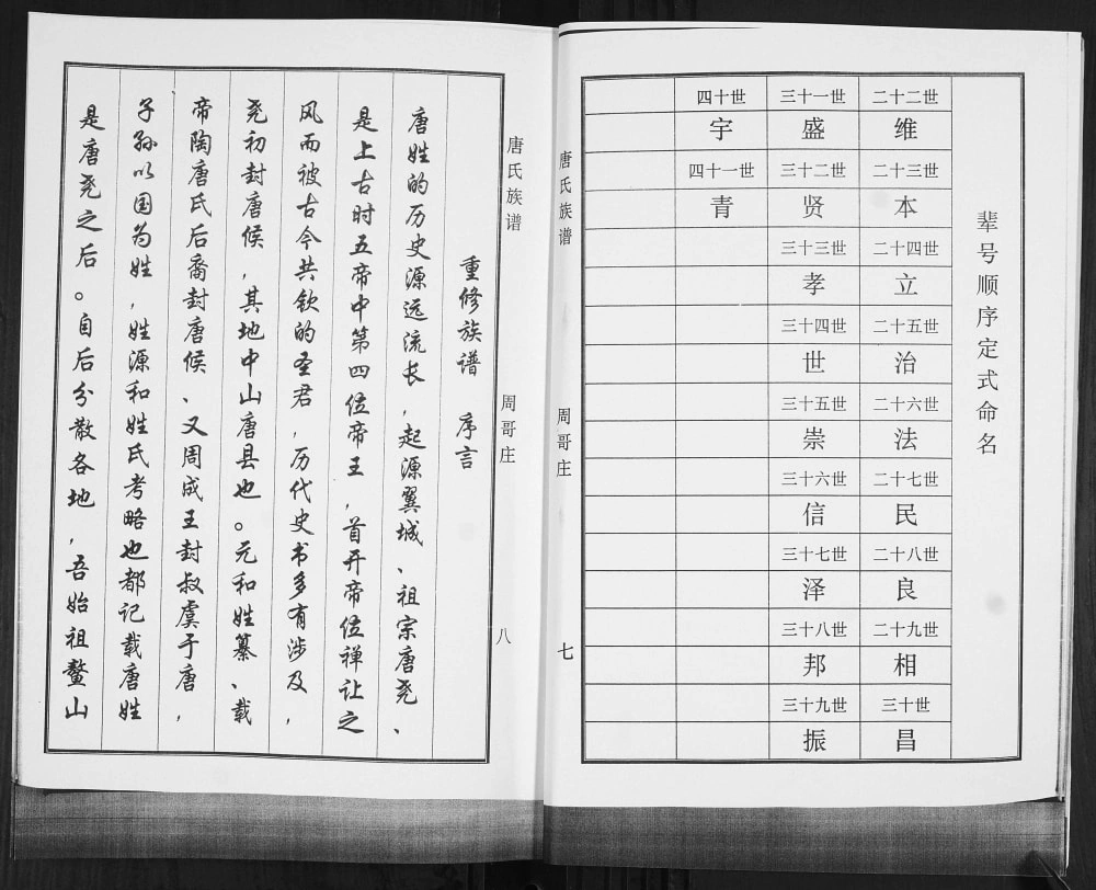 图片[4]-山东青岛即墨唐氏族谱电子版PDF下载-中华家谱网