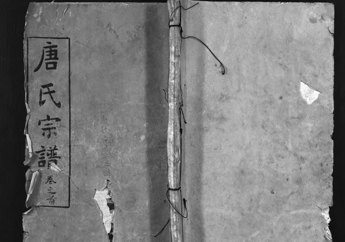 湖北麻城唐氏宗谱(勤俭堂)电子版PDF下载-中华家谱网