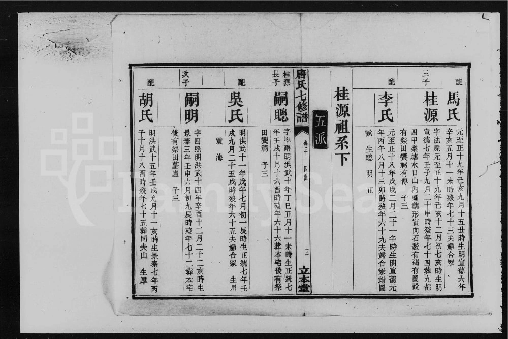 图片[6]-湖南湘潭唐氏七修宗谱（立本堂）电子版PDF下载-中华家谱网