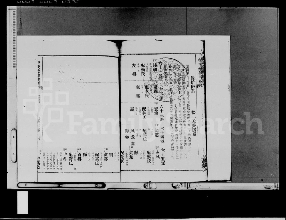 图片[8]-海南临高武城曾氏族谱（三省堂）电子版PDF下载-中华家谱网